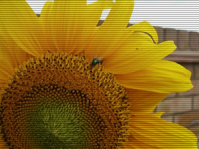Blinds example