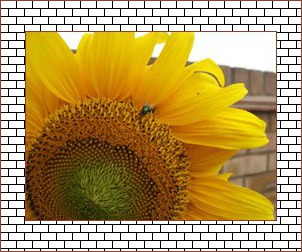 Pattern example