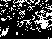 Monochrome example