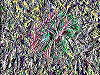 Adaptive threshold image example