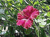 Emboss image example