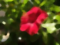 Reduce noise image example