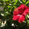 Transform image example