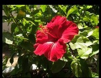 Trim image example